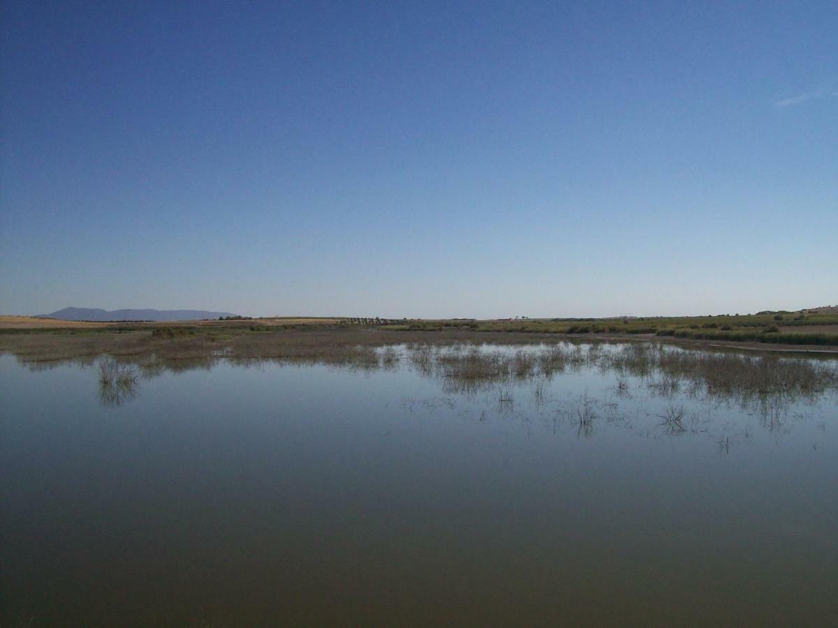 El Labriego, Casa Rural Fuente el Fresno Esterno foto